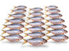 Köderfische Rotauge / Güster Mini - Vakuumverpackt | 5-12CM | 10-20ST