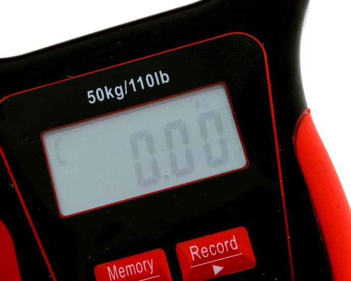 Floating Digital Scale 50kg/110lb with thermometer Rozemeijer 