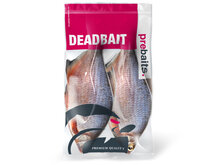 Kolblei/Brasem groot 