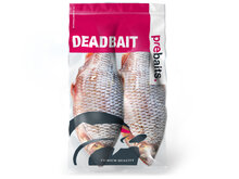 K&ouml;derfische Rotauge XL - Vakuumverpackt | 25-35CM | 1-2ST